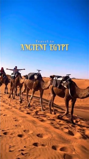 🇪🇬 Un viaggio, due mondi: il Mar Rosso e le Piramidi di Giza