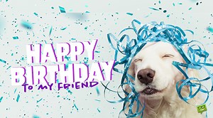 101 Unique ‘Happy Birthday Best Friend’ Messages for Your BFF’s Special Day