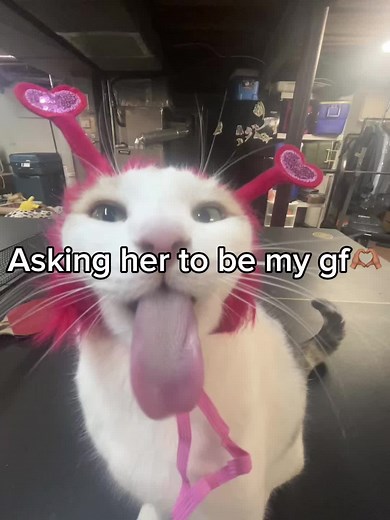 THANKS TO @Untak3n FOR HELPINNNN | how to get a gf