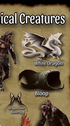 white dragon,gorila, biggest turtle Shell #trending #subscribe #viral #shorts #dragon#gorilla #turle