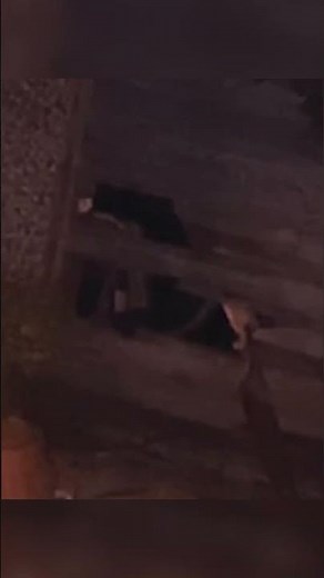 The Real Rake Was captured on Camera #scary #scarystories #monster