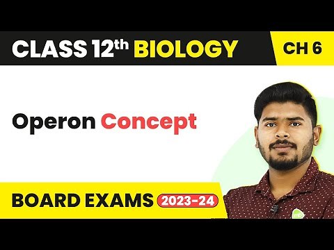 Operon Concept - Molecular Basis of Inheritance | Class 12 Biology (2022-23)