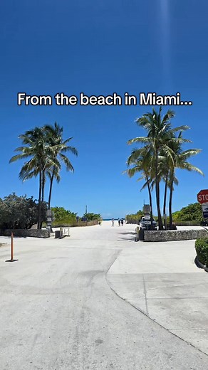 Miami beach bath water ocean water 1 week to Massachusetts cold plunge beaches the next was a rough transition! 🥶 #BringMeBack #Miami #Beach #Summer #ColdWater #Ocean #NewEngland #Massachusetts | Tricia Cromwell