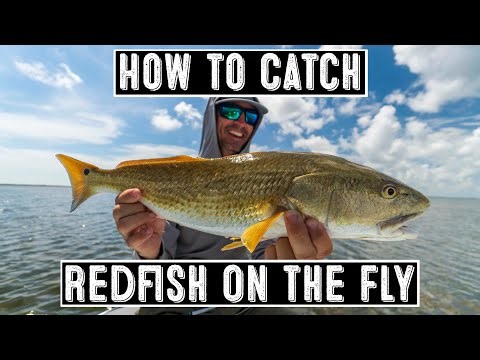 Redfish on the Fly Everything You Need to Get Started