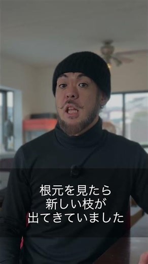 "I'm so glad I'm alive" - ​​Olive edition | Reviving the 2-tsubo terrace for spring