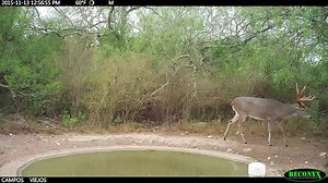 2.9K views · 49 reactions | Have you tried our Reconyx UltraFire yet? | RECONYX | Facebook