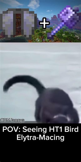 Minecraft Bird With Elytra & Mace IRL (This Shouldn’t Work 😂) #minecraft #viralshorts #ytshorts