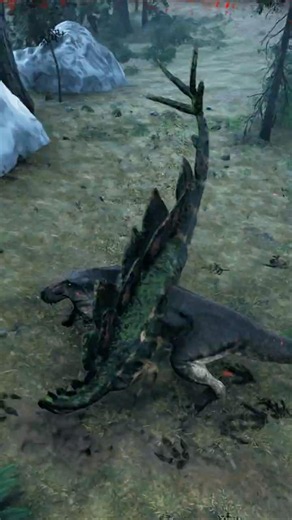 how to factory reset a rex