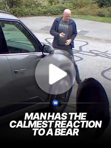 I WOULD HAVE SCREAMED! #news #world #animals #danger | Black Bear