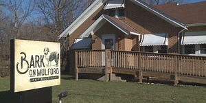 Bark on Mulford celebrates its third anniversary