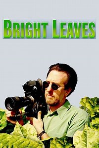 Bright Leaves - Movie
