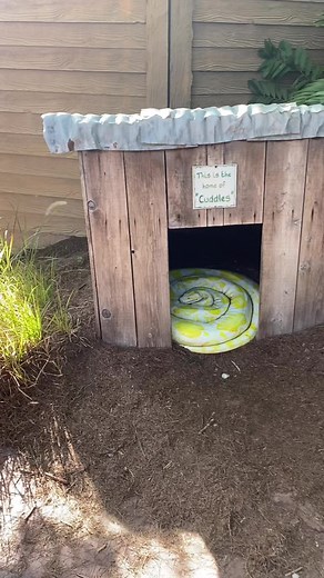 Cuddling Snakes at Gatorland in Orlando, Florida