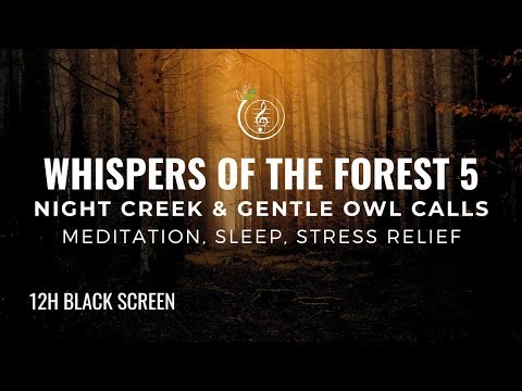 Whispers of the Forest 5 – Night Creek & Gentle Owl Calls (12 Hours for Deep Sleep)