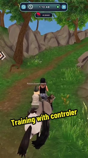 Fort Pinta Race Controller Settings for Star Stable