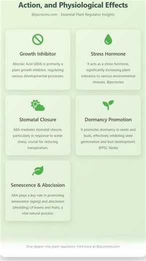 Abscisic Acid ABA: Biosynthesis, Action, and Physiological Effects