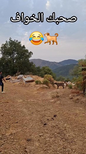 8.4K views · 80 reactions | صحبك الخواف  #سياحة #سفر #camping #van #4x4 #caravan #tourism #tourist #fyp #fypage #fypシ #viralvideos #viralreels #travelling #trendy #travelphotography #travelblogger #tranding #travelingram | SEVEN DAYS ADVENTURE | Facebook