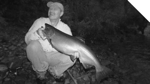 Evening shore fishing for fall salmon - Boatless angler