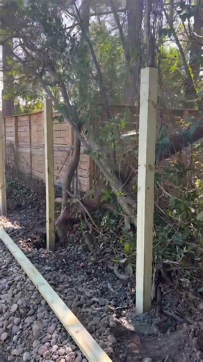 Building a 6ft Privacy Wood Fence in Mount Pleasant SC | Cap & Trim Finish