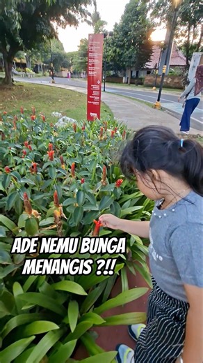 Viral Crying Flowers Have Tears‼️ #trending #subscribe #fypシ゚viral #shorts #flowers #plants #fyp