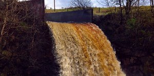 Dr. Pimple Popper Just Popped A 'Waterfall' Cyst On Her Patient's Earlobe