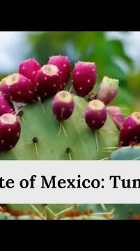 Taste of Mexico: Tuna Fruit