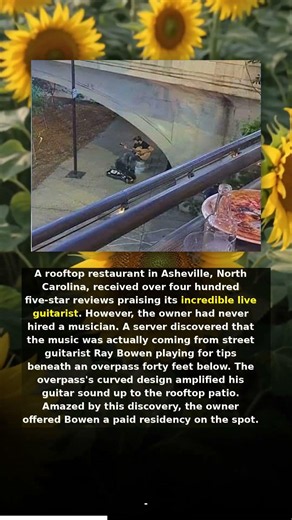 Is This Restaurant's Five-Star Review Really About a Live Guitarist? Or Is There Something More?