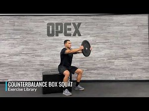 Counterbalance Box Squat