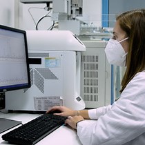 Video: Profiling Volatile Compounds in Blackcurrant Fruit using Headspace Solid-Phase Microextraction Coupled to Gas Chromatography-Mass Spectrometry