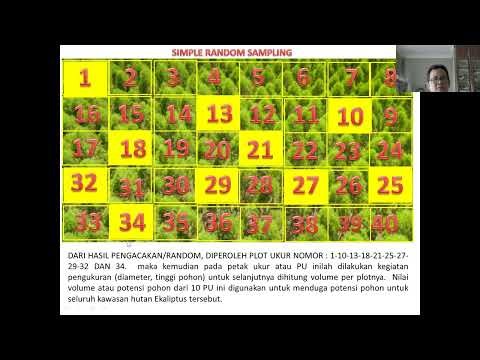 video teknik simple random sampling