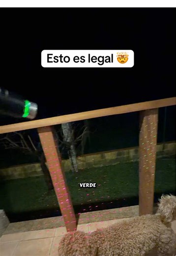 Puntero láser: Una experiencia sorprendente