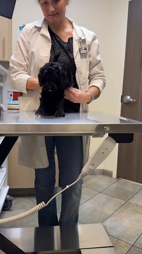 ✅Health check and first vaccinations completed! They are just about...