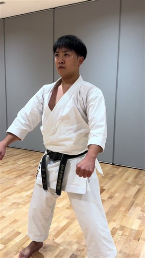 Learn Karate Online Through Video Lessons