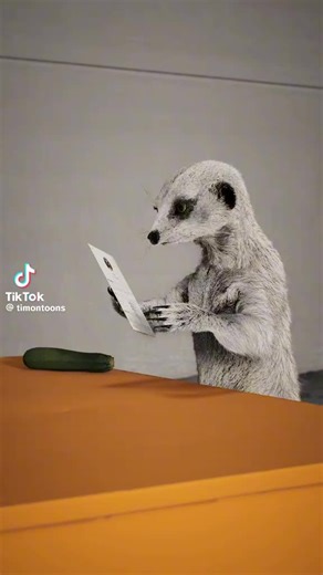 Jason Lewis (@jason.lewis49)’s videos with original sound - Jason Lewis