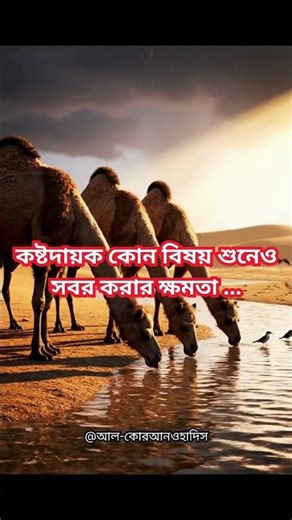 মিশকাতুল মাসাবীহ বা মিশকাত (হাদিস একাডেমি) ২৩ নম্বর হাদিস । অধ্যায়ঃ ঈমান (বিশ্বাস)