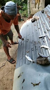 1.7M views · 10K reactions | #highlights #sendstarstosupport pa unahan lng ng sagot 藍藍 | Marnie Tuma-ob Salaber | Facebook