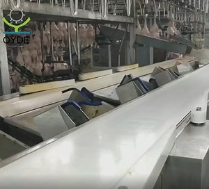 [Hot Item] Live Whole Fish Sorting Machine