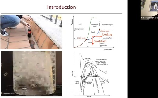 Dynamics of Bubble Nucleation by Professor Carlo Massimo Casciola