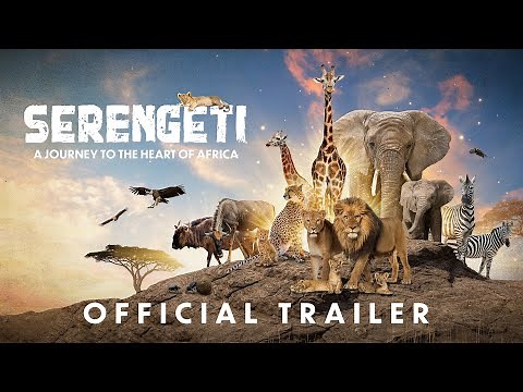 Serengeti - Official Theatrical Trailer (Digital)