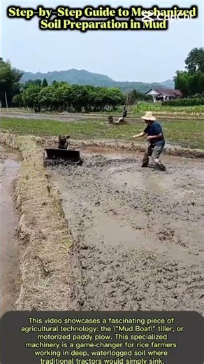 Revolutionizing Rice Farming with Portable Boat Tillers