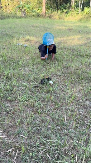 Catch four animals using a net | Oji TV