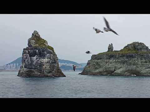 [2-2] 부산 해운대~오륙도 일주 유람(동백3호) #해운대 #오륙도 #life #travel #인생 #love #가을 #여행 #먹방 #준라이프 #준라이브 #햇살 #소소한날 