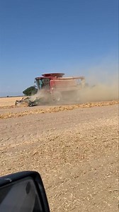11K views · 97 reactions | Video of 2003 CaseIH 2366 in pinto beans...