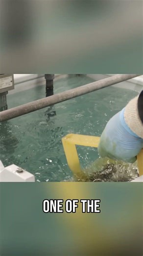 Boost Stainless Steel The Passivation Secret Revealed!