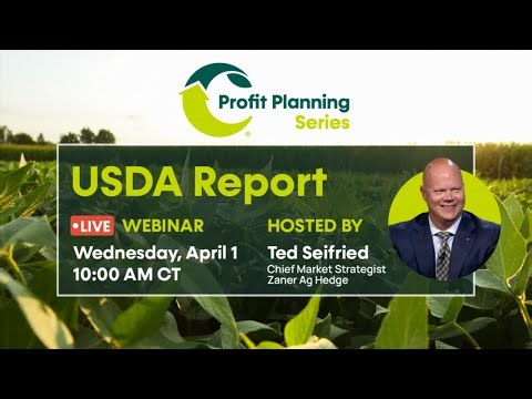 Channel Profit Planning Webinar | USDA Grain Stocks Report Analysis