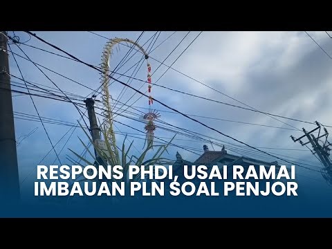 Ramai Imbauan PLN Soal Pemasangan Penjor, Ini Respons PHDI Bali