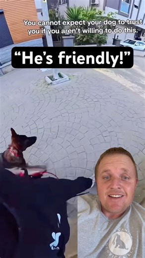 Every Dog Owner Has Heard This Before