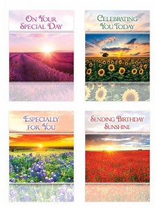 Birthday Sunshine (KJV) Box of 12 Birthday Cards