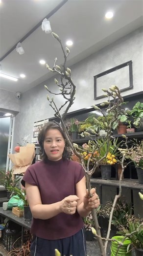 40K views | Tiêt Lan Anh on Reels | Facebook