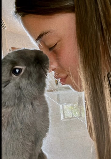 ניקוי כלוב הארנב עם פיטר 🐇