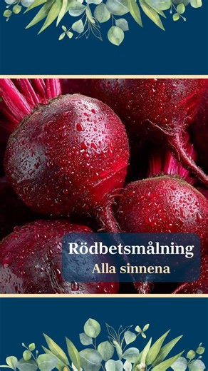 RWF Vega 1 | förskola i centrala Vega | En av våra storbarnsavdelningar kickstartade månandens färg (rosa) med överblivna rödbetor från lunchen. Här fick barnen utforskat färg och... | Instagram